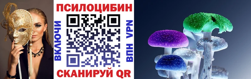 Псилоцибиновые грибы MAGIC MUSHROOMS  Владикавказ 