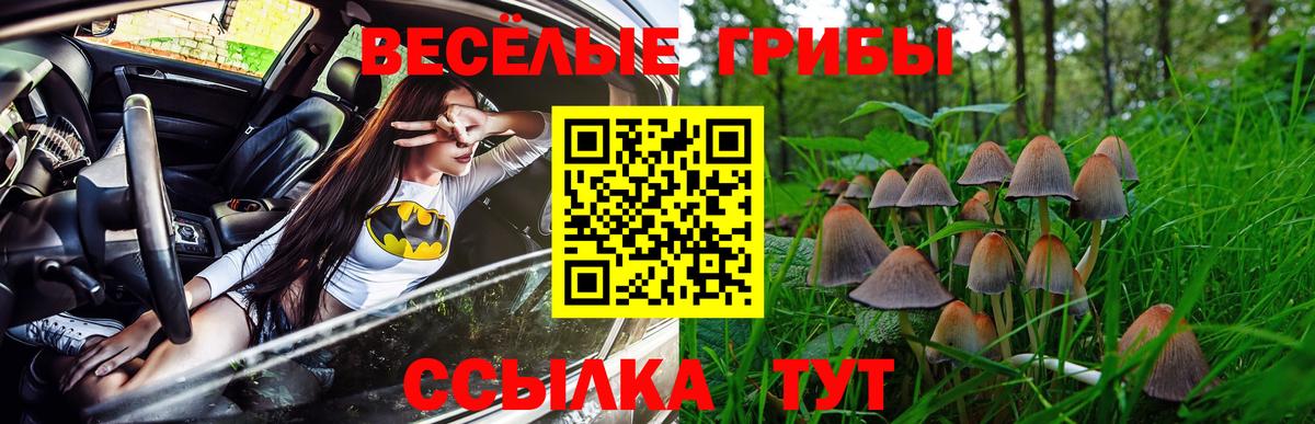 Псилоцибиновые грибы прущие грибы Владикавказ